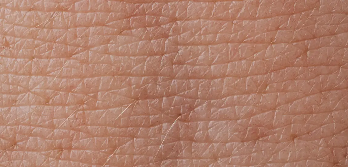 Close-up van de huid