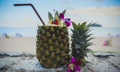 Is ananas gezond Leer de gezondheidsvoordelen van ananas